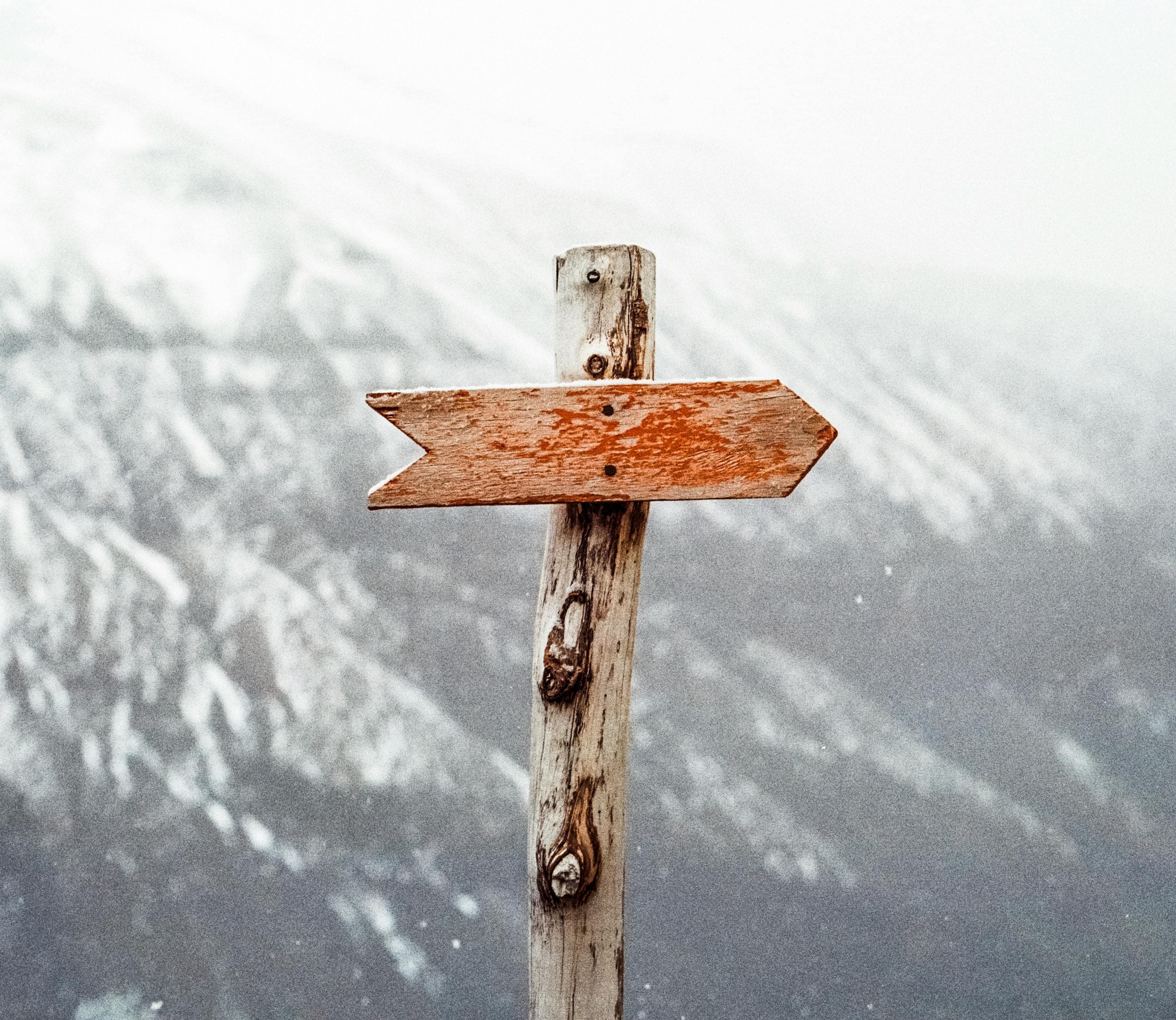 AI Roadmap Workshop: Structured planning for AI transformation