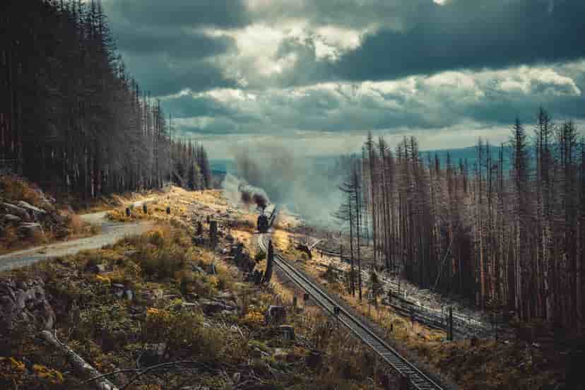 Image representing Sauerland