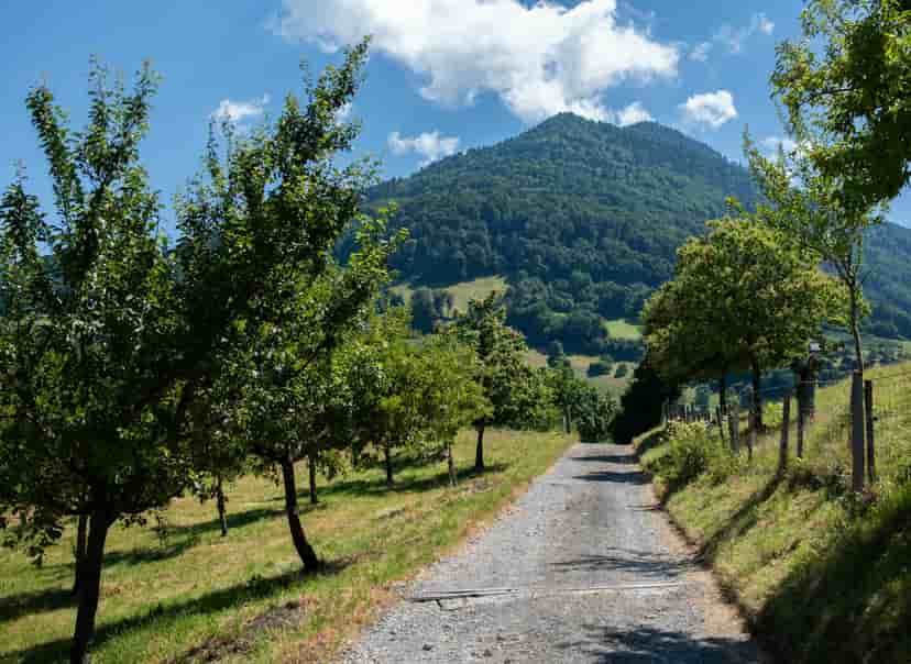 Image representing Schweiz