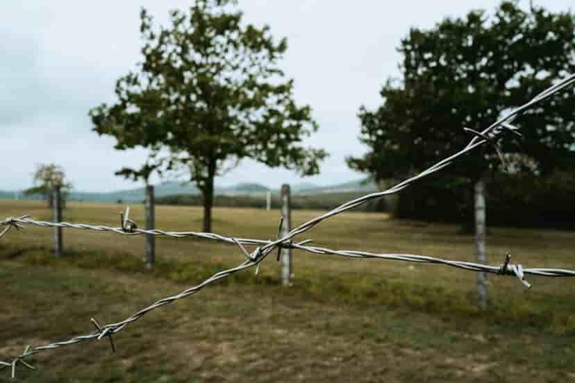 Image representing Thuringia