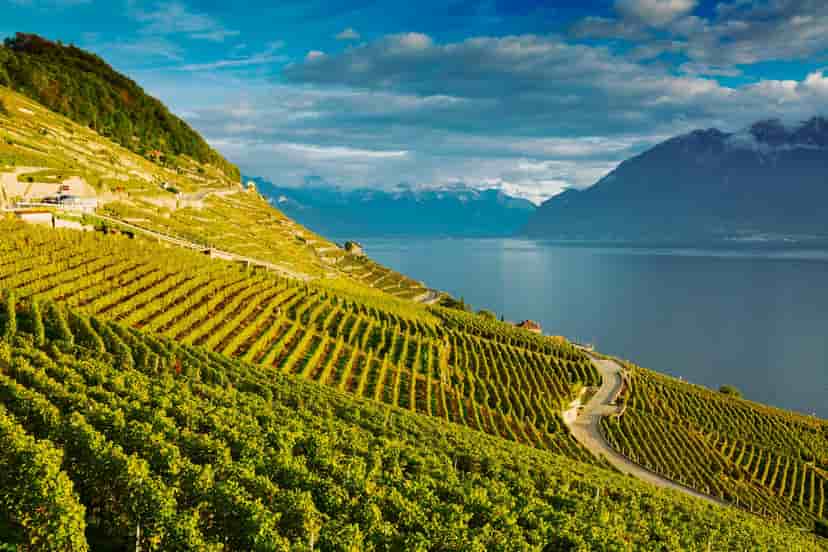 Image representing Vaud